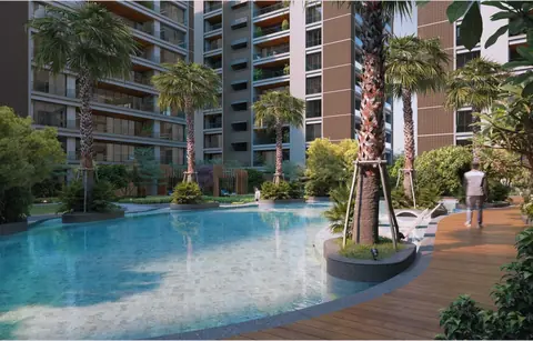 Pool with palm island